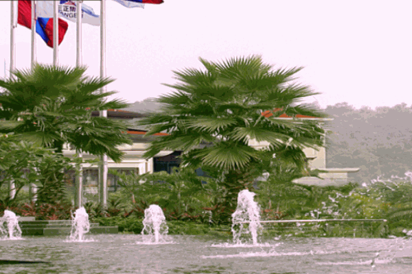 塘厦三正半山酒店